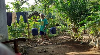 Sebulan Alami Kekeringan, Sumino Tempuh 1,5 KM Turuni Bukit Cari Air Bersih