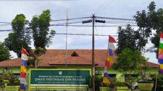 Permintaan Hewan Kurban Menurun