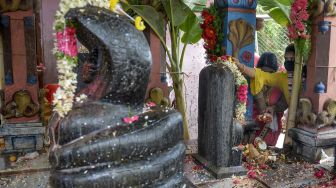 Umat Hindu berdoa kepada patung-patung ular saat perayaaan Nag Panchami untuk pemujaan tradisional ular di Sri Manasa Devi dan kuil Nagadevata di Secunderabad, kota kembar Hyderabad, India, Sabtu (25/7/2020). [NOAH SEELAM / AFP]