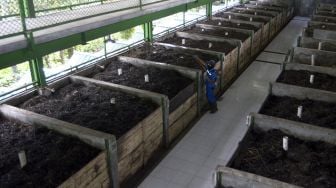 Pekerja melakukan proses pengolahan sampah organik untuk dijadikan pupuk kompos di Rumah Kompos Desa Adat Padangtegal, Ubud, Gianyar, Bali, Sabtu (25/7/2020). [ANTARA FOTO/Fikri Yusuf]