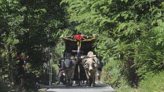 Masyarakat Diwajibkan Beli Daging Kurban dari Peternak Lokal