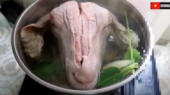 Masak Kepala Kambing, Ini Cara Pengolahan yang Tepat Agar Empuk dan Tak Bau