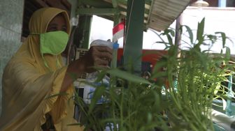 Warga menyirami tanaman kangkung di kampung Siaga COVID-19 di Kampung Rawa Pasung RW 22, Kota Baru, Kota Bekasi, Jawa Barat, Selasa (28/7/2020). [Suara.com/Angga Budhiyanto]