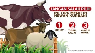 INFOGRAFIS: Tips Memilih Hewan Kurban