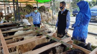 Distanak Periksa Kesehatan 4.637 Hewan Kurban di Lebak