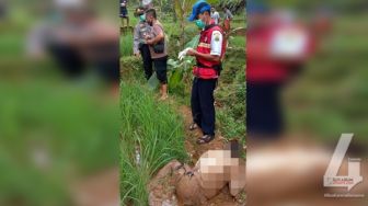 Diduga Dibunuh, Petani di Cianjur Tewas Telungkup Berkubang Lumpur