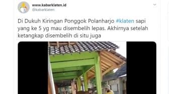 Kambing Nyasar di Atas Genteng dan 3 Aksi Lucu Hewan Kurban Saat Idul Adha