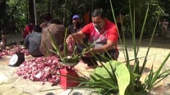 Hindari Plastik, Warga Sendangsari Pakai Dhekon untuk Bungkus Daging Kurban