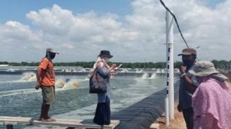 Tim Verifikasi DKP Babel Lakukan Pembinaan CBIB ke PT BIM Parit Tiga Jebus
