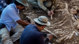 Makam Kuno Hewan Berusia 9 Juta Tahun Ditemukan, Terungkap Kisah Miris