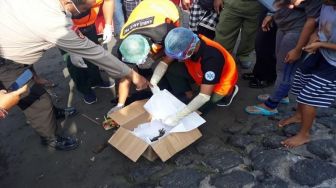 Jalan-Jalan di Pantai Matahari Terbit Sanur, 2 Bocah Temukan Bayi Membusuk