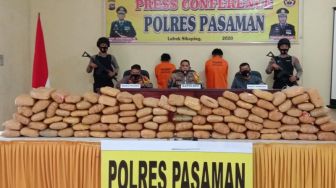 Polres Pasaman Sita 102 Paket Ganja, Tersangka Terancam Bui Seumur Hidup