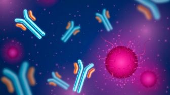 Fakta Terbaru Antibodi Virus Corona dan 4 Berita Kesehatan Menarik Lainnya