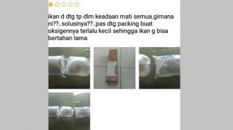 Pembeli Ngeluh Setelah Terima Ikannya, Respon Penjual Jadi Sorotan Warganet