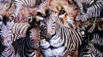 Tes Kepribadian: Zebra, Singa atau Burung yang Pertama Anda Lihat?