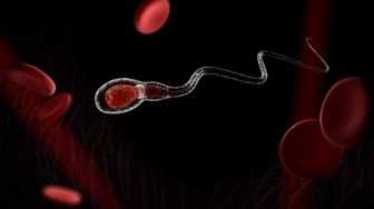 5 Tips Mudah Meningkatkan Kesuburan Pasutri