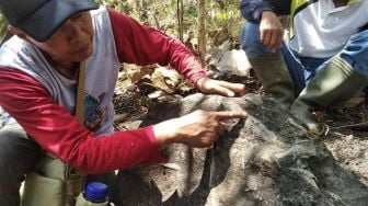 Fosil Terjebak Dalam Batu Purba Ditemukan di Hutan Tritik Nganjuk