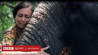 Kisah Penyelamat Gajah di Kuil India: Penyiksa Teteskan Air Mata Buaya