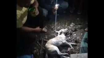 Anjing Diklaim Jelmaan Siswa SMP yang Terbunuh, Dikubur Hidup-hidup Warga