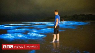 Cahaya Plankton Membuat Pesisir Pantai Irlandia Berkilau