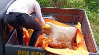 Olah TKP Temuan Mayat Dalam Karung, Polisi Duga Korban Ditenggelamkan