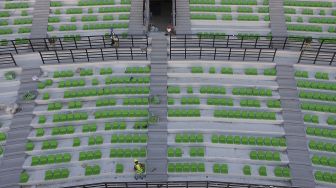 Melihat Renovasi Stadion Gelora Bung Tomo