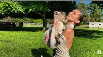 Foto Peluk Kambing, Bella Hadid Pakai Gaun Seharga Rp 42 Juta