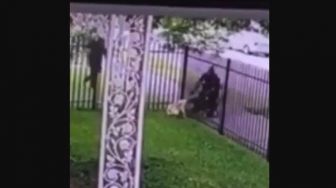 Viral Video Seorang Polisi di Detroit Tembak Seekor Anjing hingga Tewas