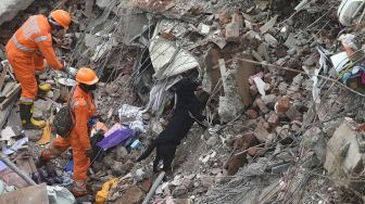 Petugas penyelamat dibantu anjing pelacak mencari korban di reruntuhan gedung apartemen yang ambruk di Mahad, India, Selasa (25/8). [Punit PARANJPE / AFP]