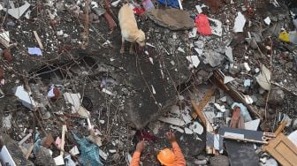 Petugas penyelamat dibantu anjing pelacak mencari korban di reruntuhan gedung apartemen yang ambruk di Mahad, India, Selasa (25/8). [Punit PARANJPE / AFP]