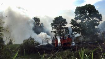 Sejak Januari 2020, Kebakaran Lahan dan Hutan di Sumsel Capai 523 Kali