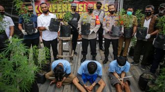 Kapolres Tangerang Kota Kombes Pol Sugeng Hariyanto (tengah) bersama Kapolsek Ciledug Kompol Ali Zusron (keempat kanan) dan jajarannya menunjukkan barang bukti tanaman ganja beserta tiga orang tersangka saat penggerebekan di atap sebuah rumah di Karang Tengah, Kota Tangerang, Banten, Senin (31/8/2020).  [ANTARA FOTO/Fauzan]
