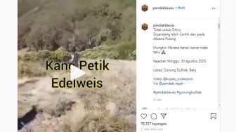 Petik Edelweis, Rombongan Pendaki Gunung ini Tuai Kecaman