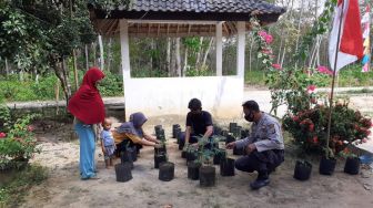 Mahasiswa KKN UNISRI Ajak Warga Bercocok Tanam di Lahan Pekarangan Rumah