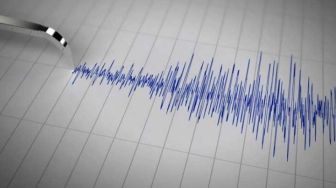 Gempa Selama Agustus Meningkat Hingga 804 Kali