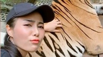 Foto Sambil Remas Kemaluan Harimau, Turis Wanita Ini Dikecam Publik