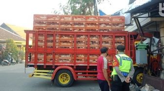 Angkut Ayam Potong, Sopir Tak Sadar Truknya Nyelonong ke Rumah Warga