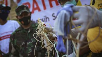 Petugas gabungan menunjukkan sampah medis hasil patroli di Sungai Cisadane, Kota Tangerang, Banten, Jumat (4/9/2020). [ANTARA FOTO/Fauzan]