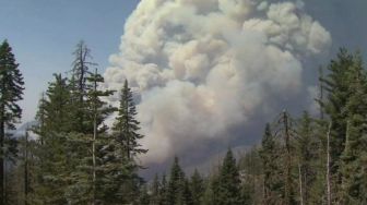 Kebakaran Hutan California, Puluhan Orang Terjebak di Waduk