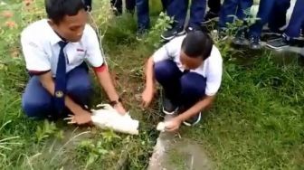 Viral Praktik Sembelih Ayam Hingga Kepala Copot, Netizen: Lucu Tapi Seram!