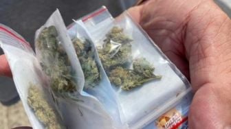 Patungan Beli Ganja dengan Rekannya, GM Ditangkap BNN