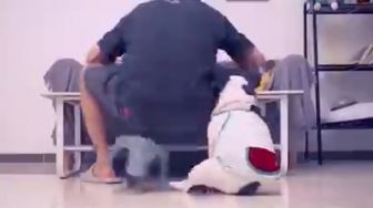 Ngeselin! Anjing Jahil Ini Bikin Majikannya Mandi Mie Instan