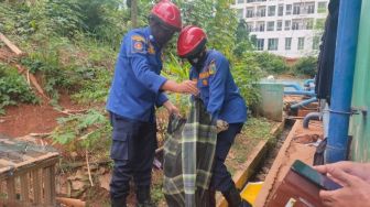 Ular Sanca Sepanjang 3 Meter Ditangkap di Apartemen Kawasan Kalibata