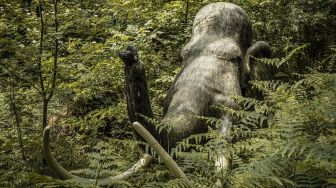 100 Kerangka Mamut Ditemukan Terkubur di Lahan Bandara Baru Meksiko