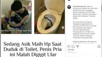 Ular Nongol dari Lubang WC, Penis Remaja Digigit saat BAB Sambil Main HP