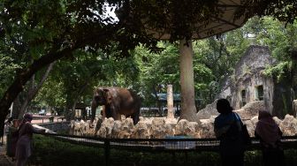 Ragunan Tutup Sementara Mulai 14 September 2020