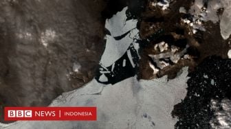 Perubahan Iklim, Lapisan Es di Greenland Terlepas dan Terpecah Kecil-kecil