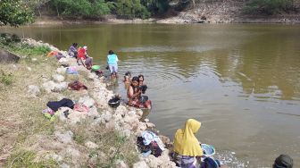 Kekeringan, Ngatemi Bolak Balik ke Telaga Ambil Air untuk Minum Sapi