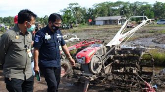 Program Food Estate Bakal Digarap Kementan dengan Maksimal