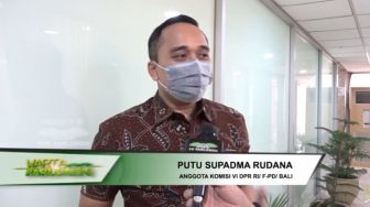 Komisi VI Dorong Pemerintah Berikan Bantuan Kepada Sektor Usaha